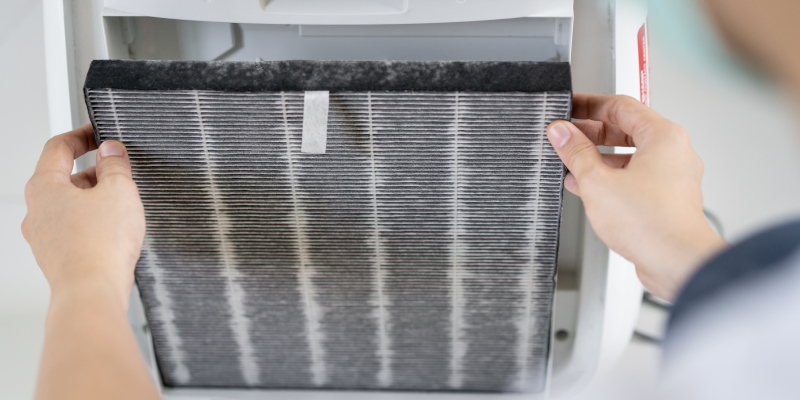 Dust and Allergen Removal in Raleigh, North Carolina